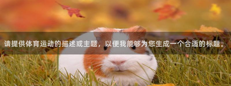 谈球吧
