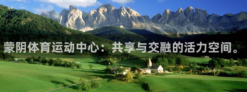 谈球吧