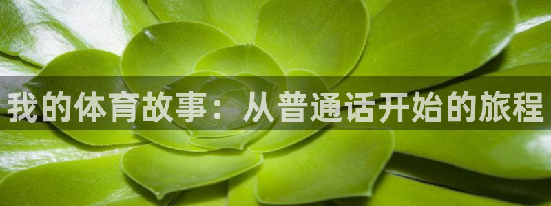 谈球吧