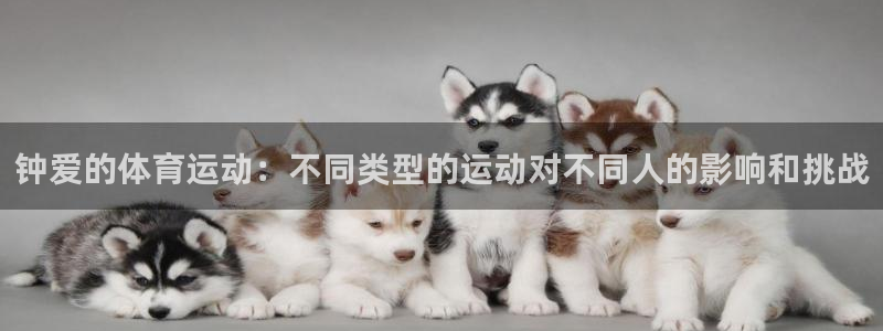 谈球吧体育官网