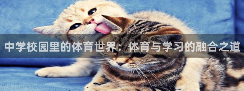 谈球吧体育