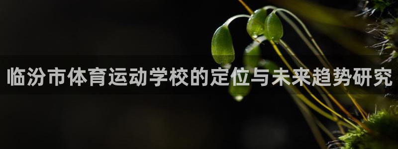 谈球吧体育
