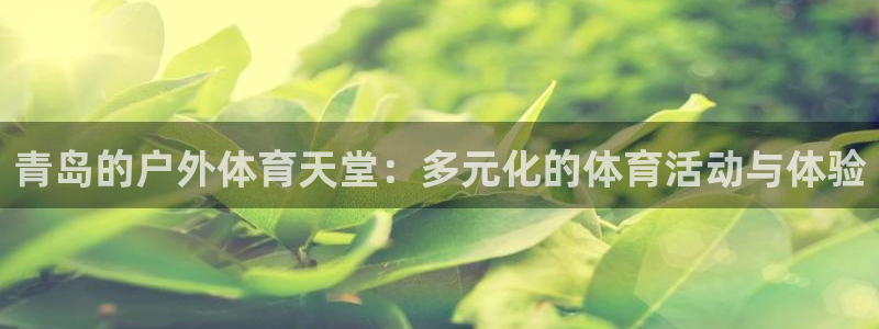 谈球吧体育
