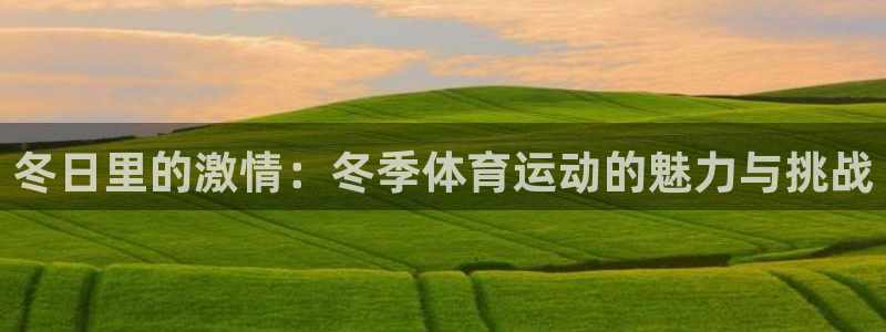 谈球吧体育官网