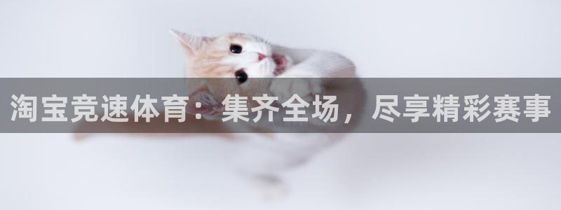 谈球吧
