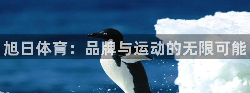 谈球吧体育