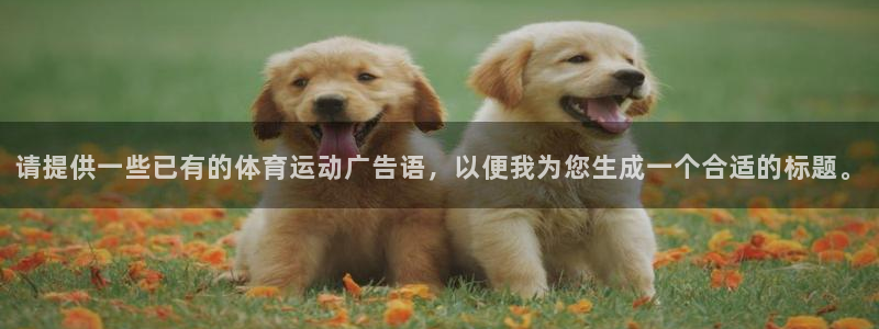 谈球吧体育